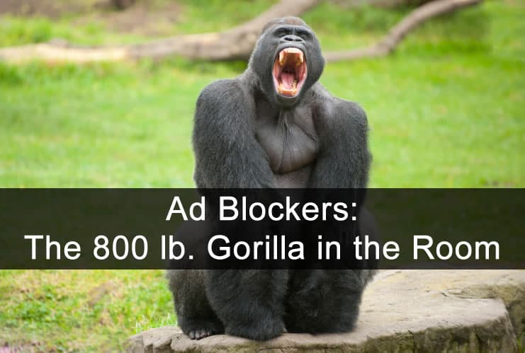 Ad blockers are the 800 lb gorilla in the room