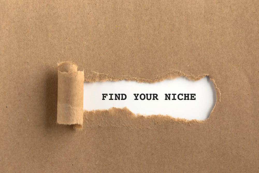 Find your niche