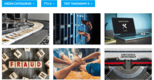 How to Create Image Galleries with Filtered Search for WordPress Websites