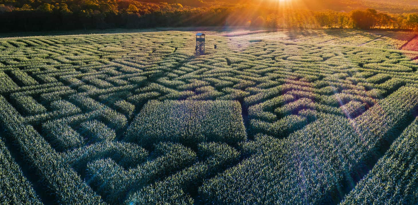 Aerial view of the huge Halloween Corn Maze in Pennsylvania, Poconos Region.