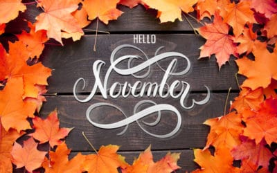 November Income Report Fat Stacks