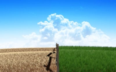 Greener pastures