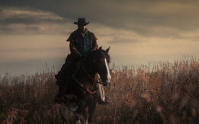 Cowboy riding a horse