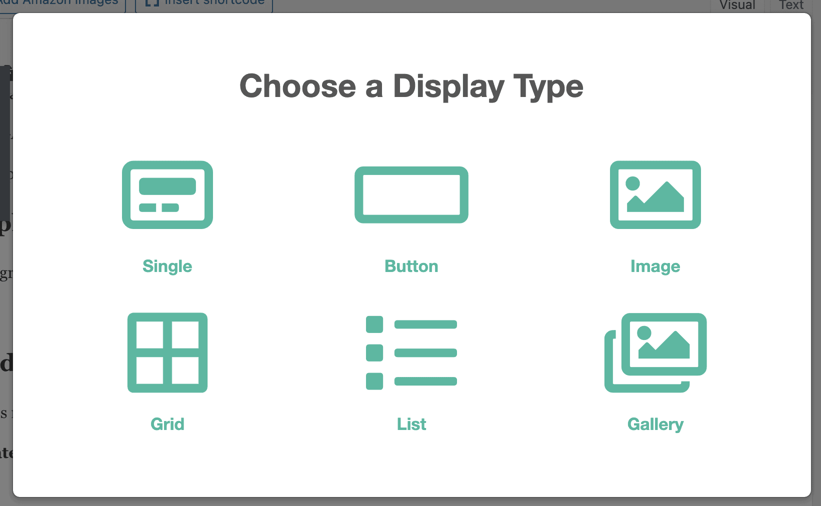 Lasso Display Options