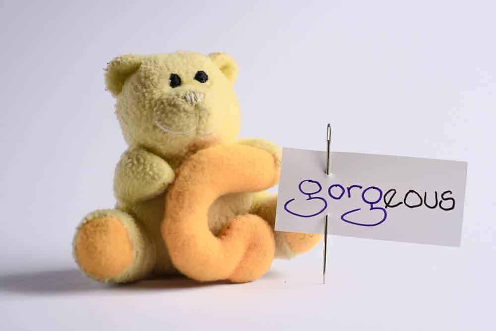 A teddy bear and a cue card with the word "gorgeous."