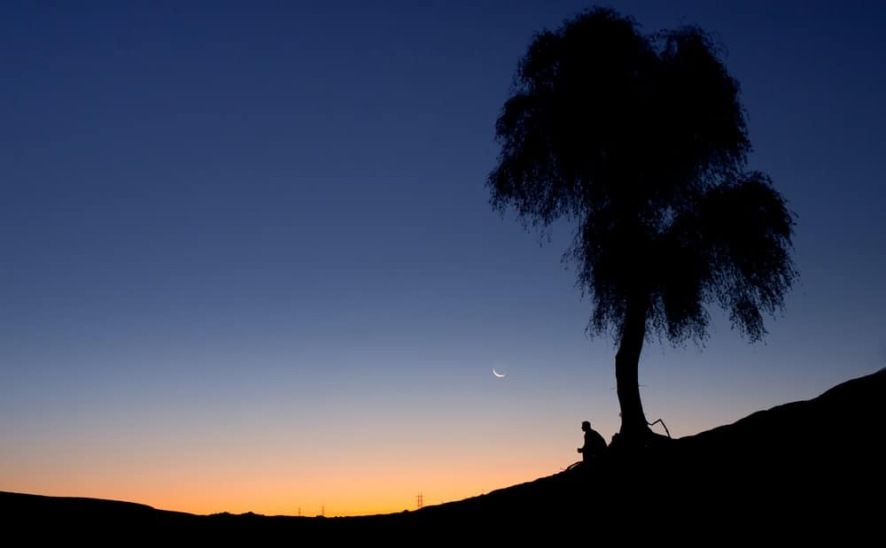 Silhouette of a person sitting under a tree.