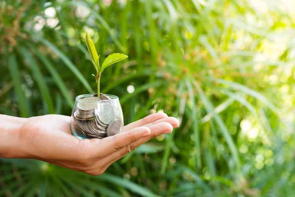 Hand holding a cup of coins with a plant.