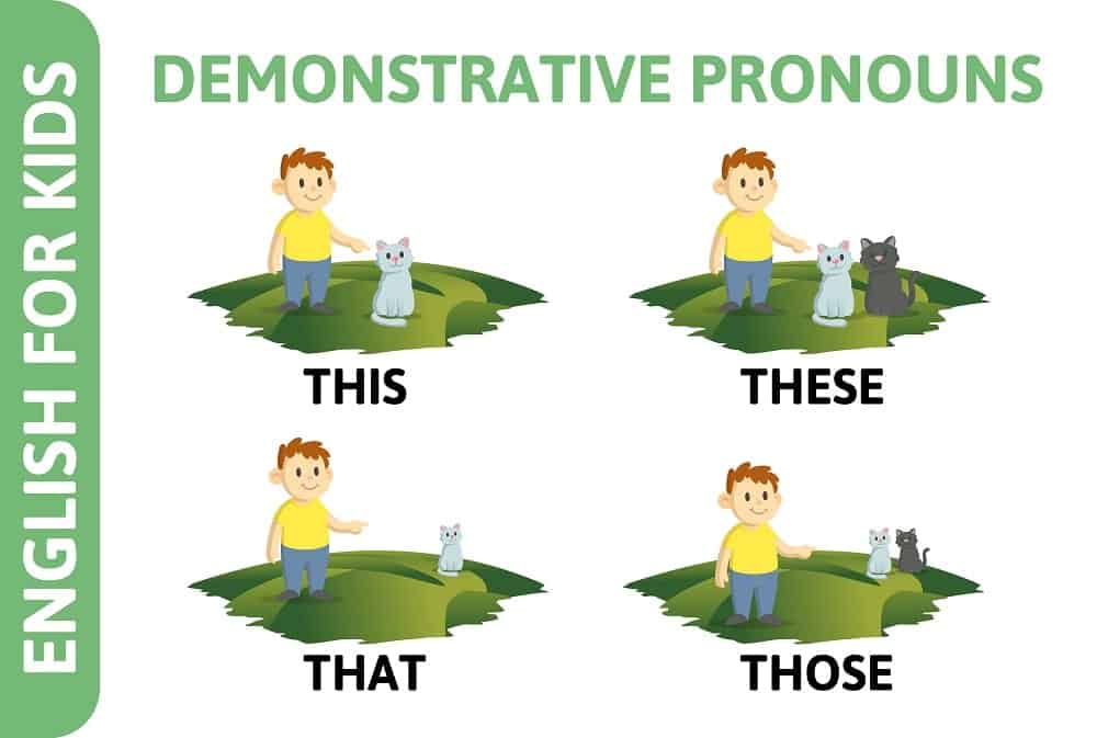 13-different-types-of-pronouns